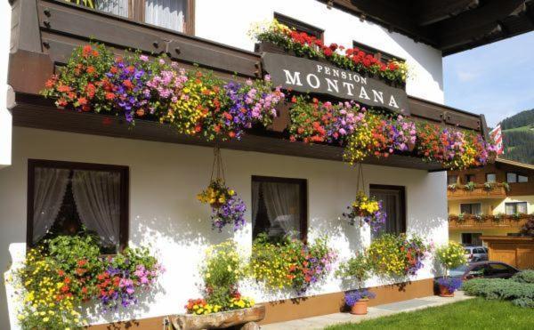 Pension Montana Wagrain Kültér fotó